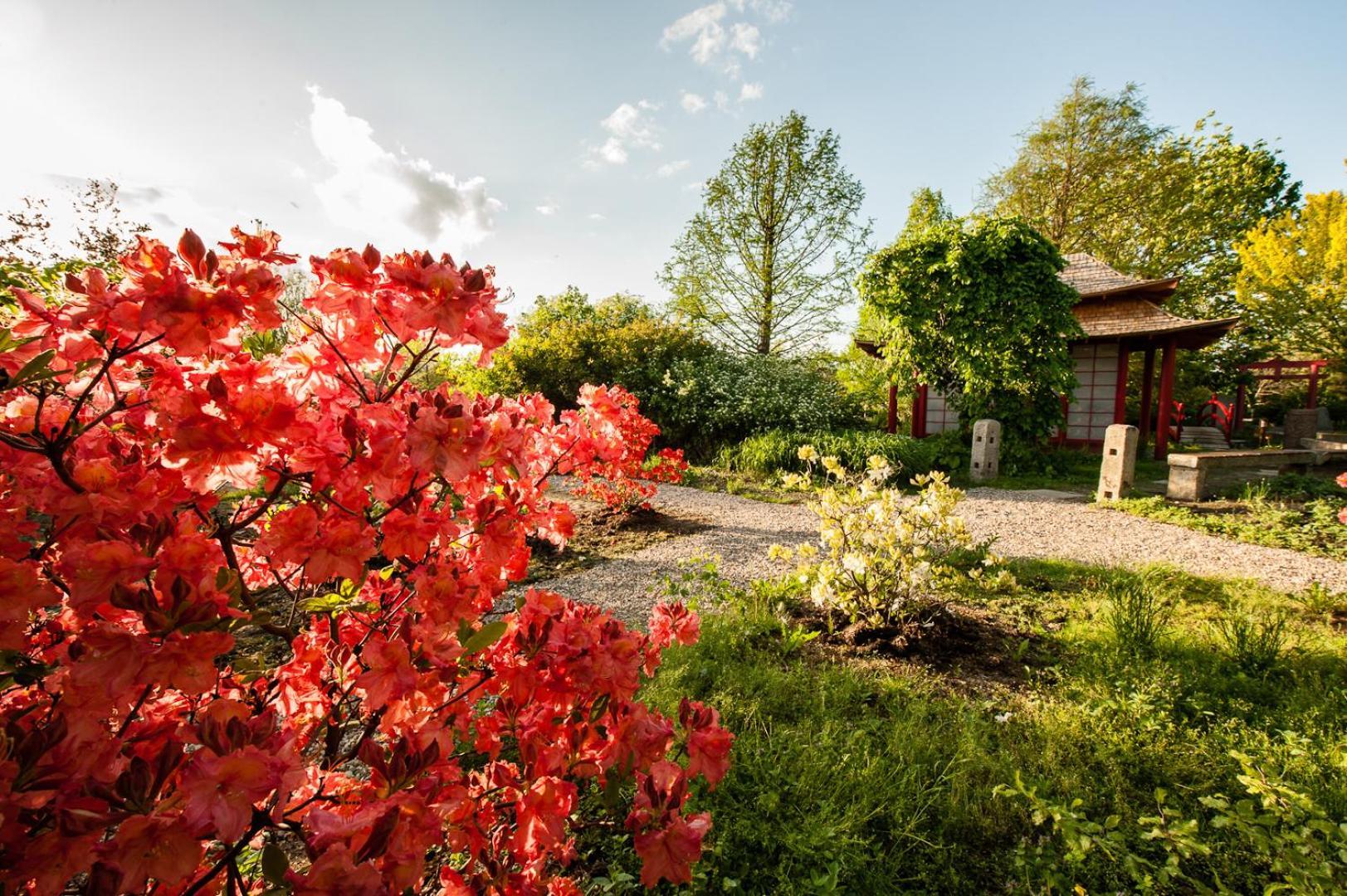 Siedem Drzew Hotel Biskupice  Buitenkant foto